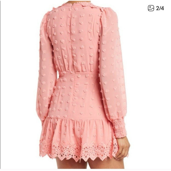 Love x Design Long Sleeve Mini Dress Swiss Dot Chiffon Lace Pink Size Small New - Picture 3 of 10